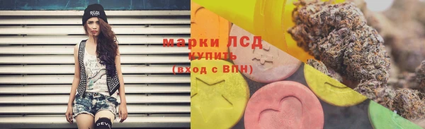 гидра Яблоновский