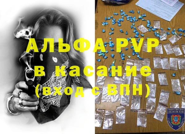 индика Ленинградская