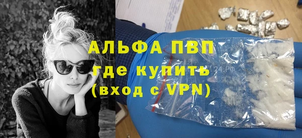 СК Дубна