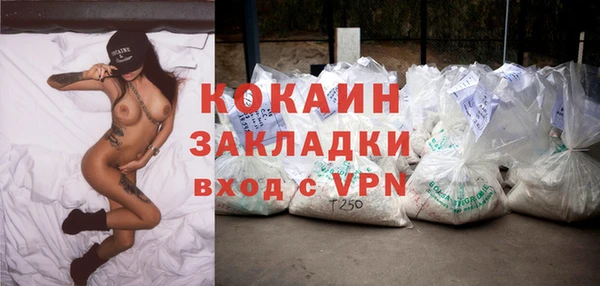 СК Дубна