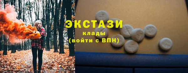 СК Дубна
