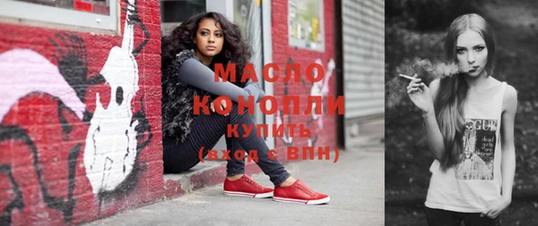 индика Великий Новгород