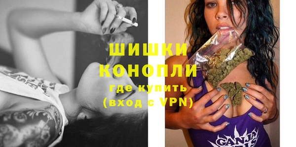 СК Дубна
