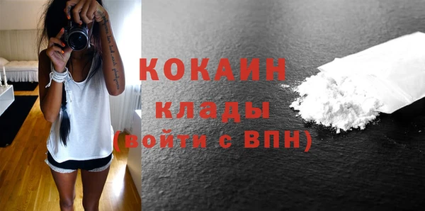 индика Ленинградская