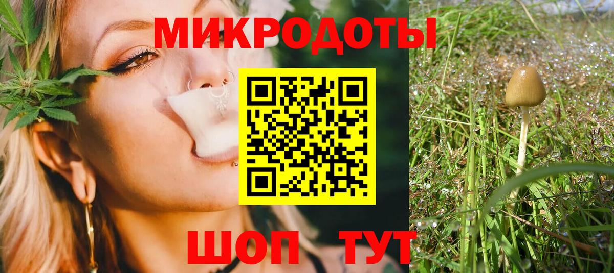 Галлюциногенные грибы Ахтубинск