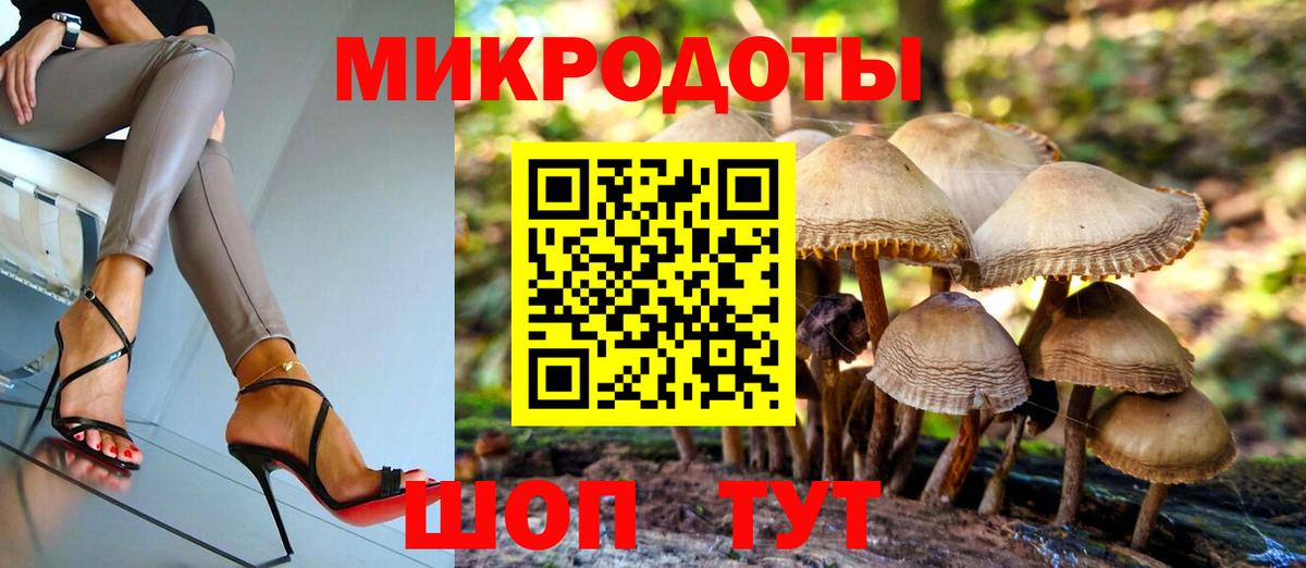 Псилоцибиновые грибы Psilocybine cubensis  Псилоцибиновые грибы прущие грибы  Ахтубинск 