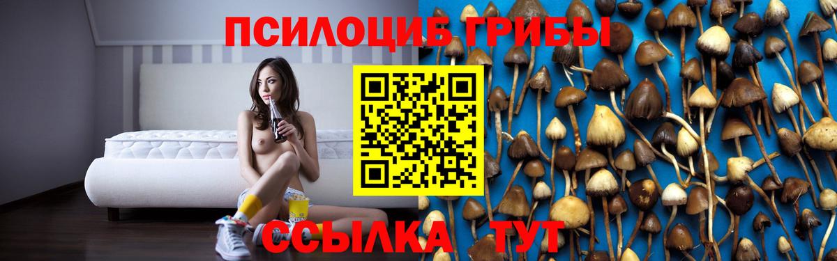Галлюциногенные грибы прущие грибы Ахтубинск