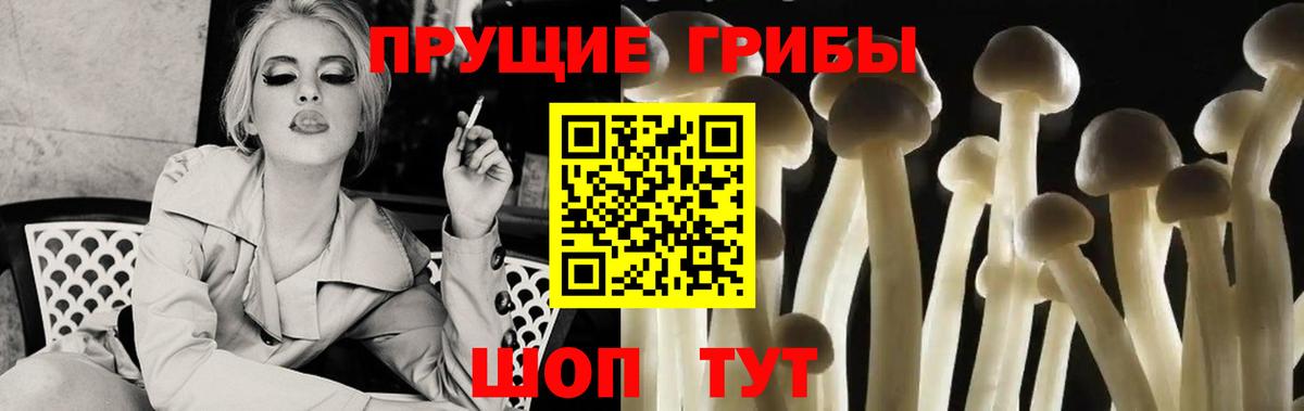 Галлюциногенные грибы Magic Shrooms Ахтубинск